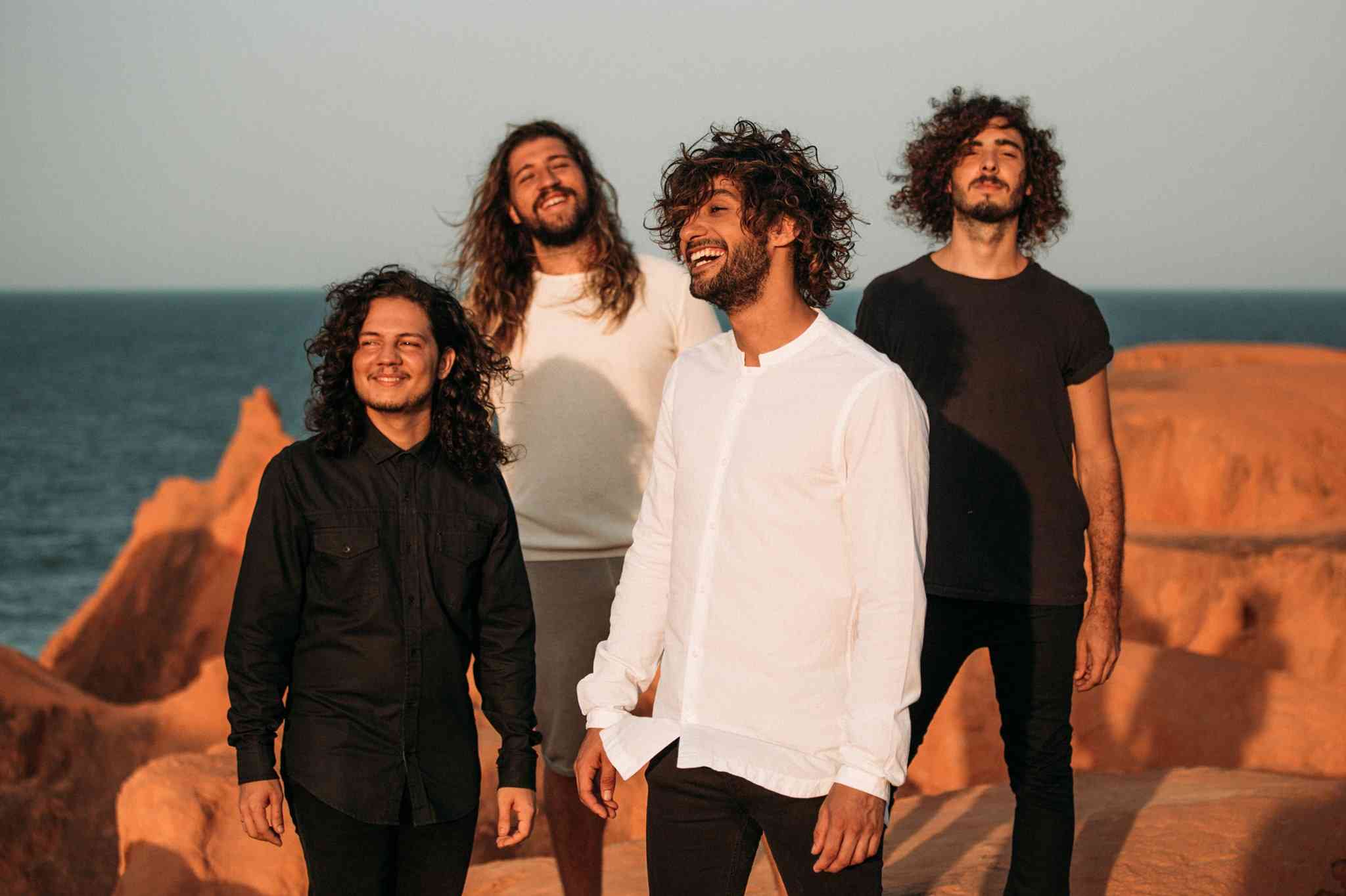 selvagens a procura de lei