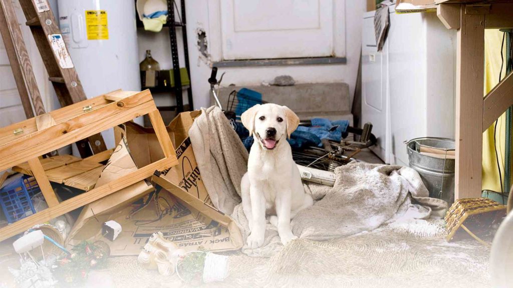 wYjhfAHDc6FNgpuuPxkSKPmOKnC