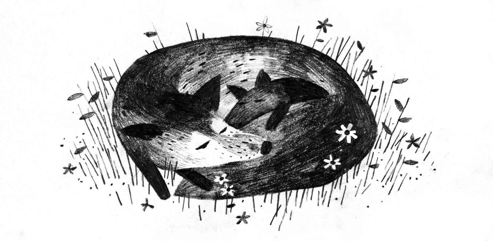 Jon Klassen ilustracao raposas 81XXWx45ANL e1510185975379