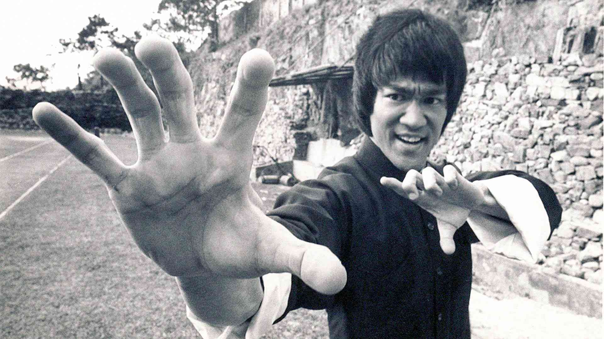 Bruce Lee 6