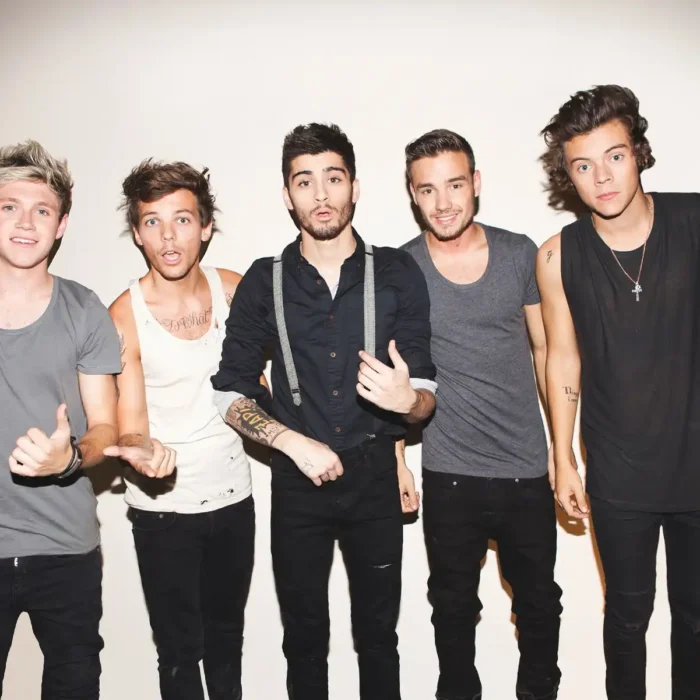 One Direction 2015 oficial foto