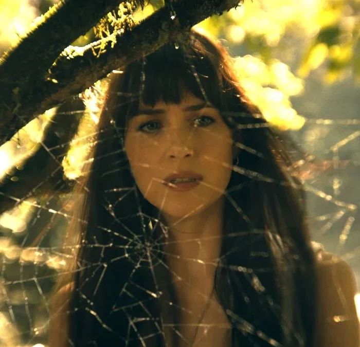 A protagonista de Madame Teia, conforme vista suavemente embaçada por detrás de uma teia de aranha entre árvores em um dia de sol.