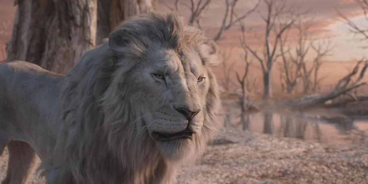 Um leão em "Mufasa: O Rei Leão", da Disney, meio à savana. O animal ocupa a porção esquerda até o centro da foto, com árvores secas ao fundo.
