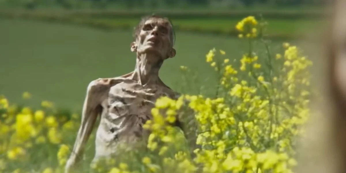Cillian Murphy não aparece em “Extermínio: A Evolução”, Garante Produtor Um morto-vivo conforme visto em uma campina, com flores amarelas à frente da tela, no trailer de "Extermínio: Evolução" (2025).