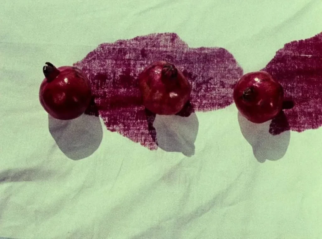 A Cor da Romã (1969) | Se Poesia Fosse Um Filme 2 Romãs derramadas em uma tela na abertura de "The Color of Pomegranates" (1969).