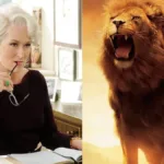 Meryl Streep, à esquerda, em "O Diabo Vestre Prada", e o leão Aslan, à direita, na adaptação de 2005 do primeiro livro da série "As Crônicas de Nárnia". Atriz interpretará o personagem na versão de 2026.