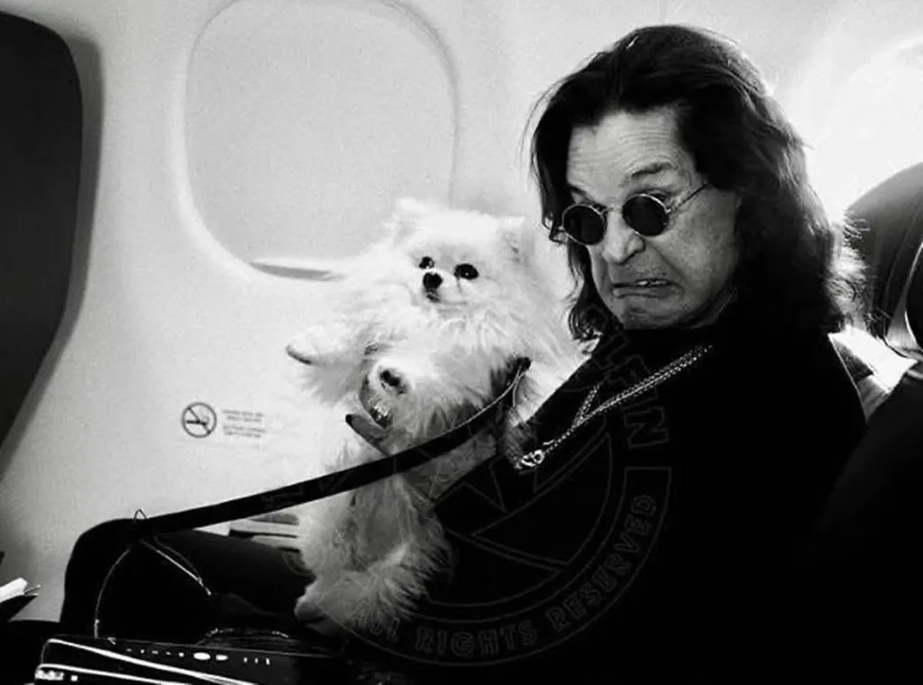5 Histórias de Ozzy Osbourne Que Parecem Mentira (Mas São Verdade) 1 Ozzy Osbourne em um avião, segurando um Lulu da Pomerânia, posando como se estivesse com repulsa. Foto em preto e branco. Músico está com seus tradicionais óculos redondos.