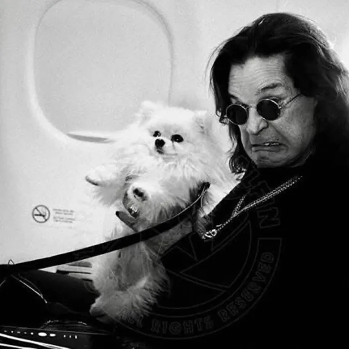 Ozzy Osbourne em um avião, segurando um Lulu da Pomerânia, posando como se estivesse com repulsa. Foto em preto e branco. Músico está com seus tradicionais óculos redondos.