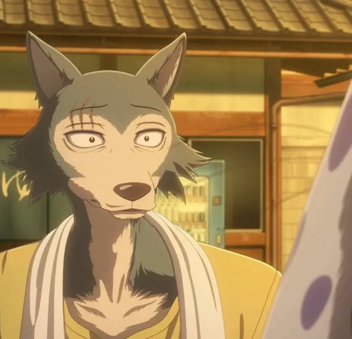 Legoshi de "Beastars" com uma camisa amarela e com uma toalha no pescoço. Há uma casinha atrás dele, e está de fim de tarde.