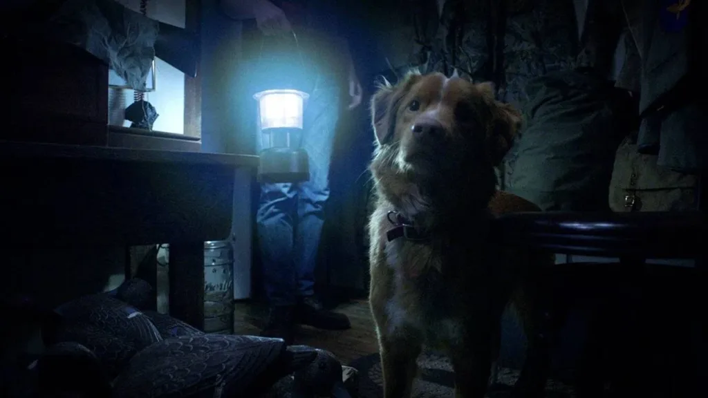 Bom Menino | Terror Para Cachorro Não Assusta Nem os Animais 1 Cachorro Indy no filme "Bom Menino", com uma luz fraca no ambiente deixando-o em meia-luz. Ao fundo seu tutor Tod (Shane Jensen), visto da altura do cachorro.