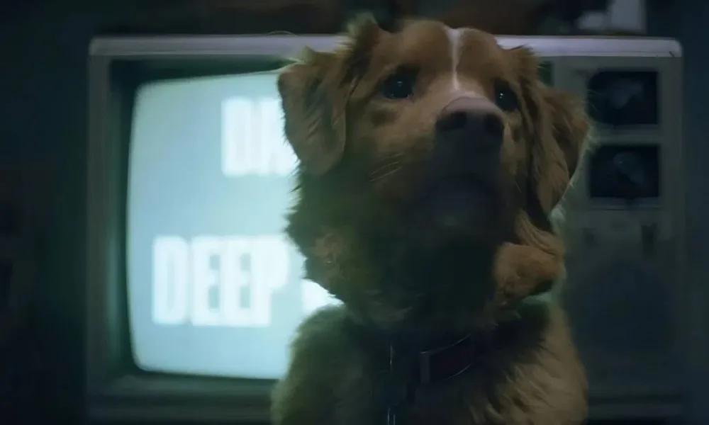 Cão Indy desviando o olhar de televisão de tubo com fita antiga tocando no filme "Bom Menino".