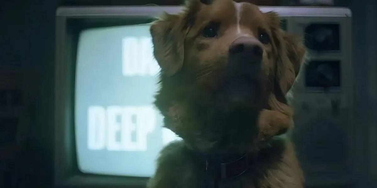 Bom Menino | Terror Para Cachorro Não Assusta Nem os Animais Cão Indy desviando o olhar de televisão de tubo com fita antiga tocando no filme "Bom Menino".