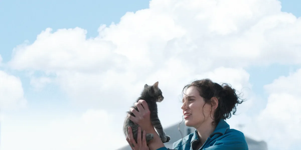 Sorry, Baby | Entre o Humor Culposo e a Dor Silenciosa Sorry, Baby