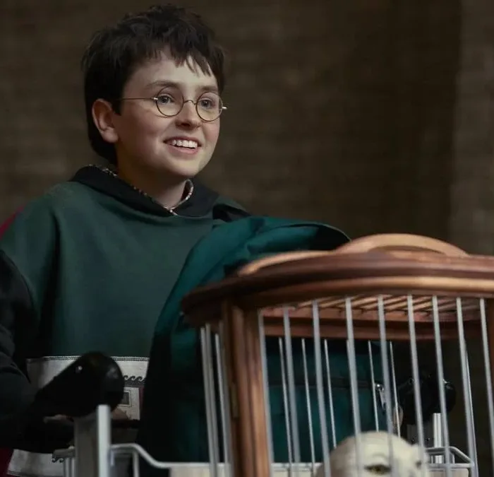 Dominic McLaughlin no primeiro trailer da série de "Harry Potter", da HBO. Ator mirim está vestido de verde, com luvas, e empurra um carrinho com seus pertences, sorrindo, na plataforma 9 3/4.
