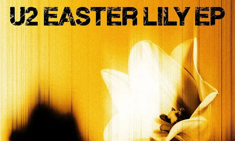 U2 Easter Lily