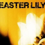 U2 Easter Lily