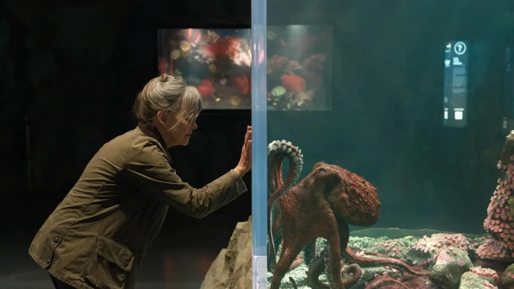 Sally Field como Tova Sullivan em "Criaturas Extraordinariamente Brilhantes". A personagem se comunica com polvo em aquário tocando mãos no vidro, ao que o animal corresponde.