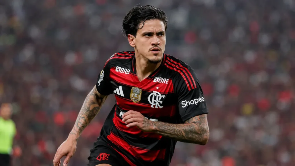 Pedro Flamengo