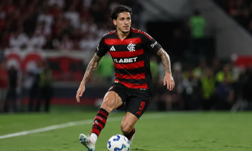Flamengo Pedro