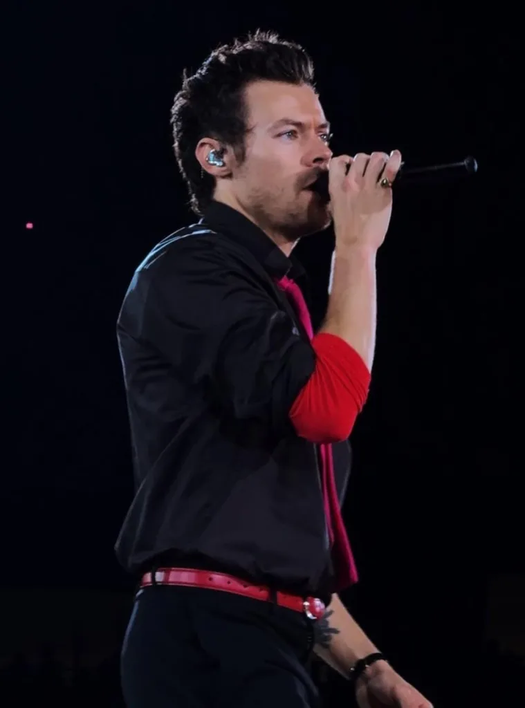 Harry Styles transforma ultimo show no Brasil em uma despedida emocionante 1
