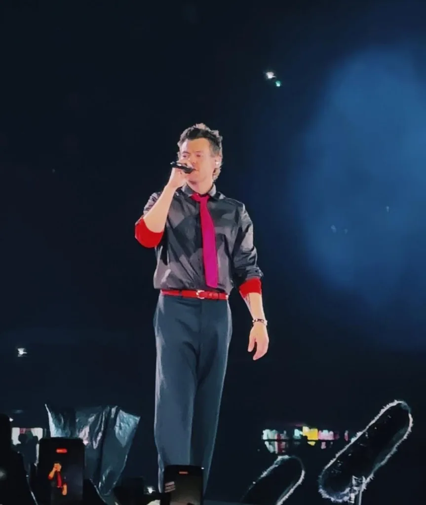 Harry Styles ultimo show