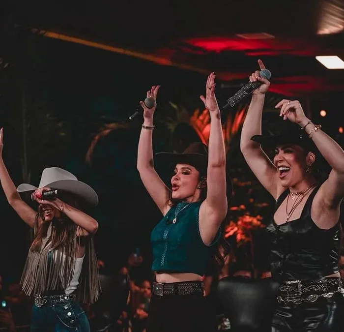 Sertanejo Série A 2026 Instagram 4