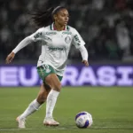 Taina Palmeiras
