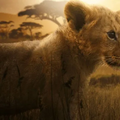 Leão Lion Disney+ Documentário 1