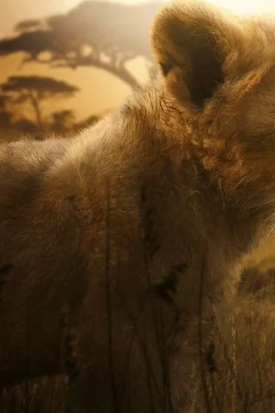 Leão Lion Disney+ Documentário 1