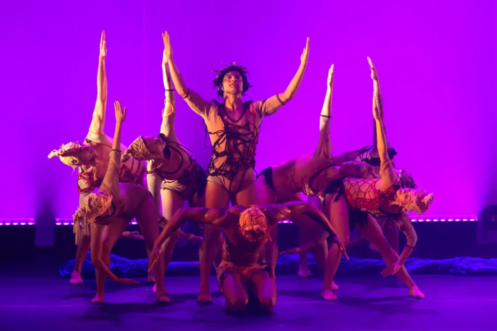 Cisne Negro Cia. de Dança