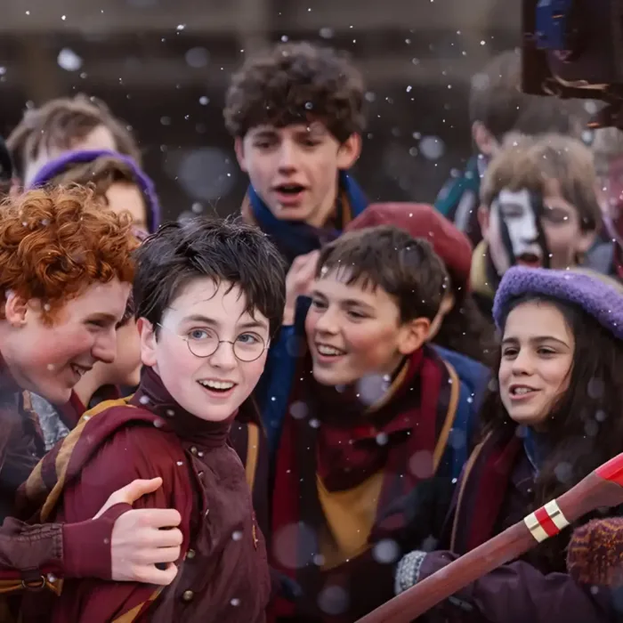 Harry Potter - Série
