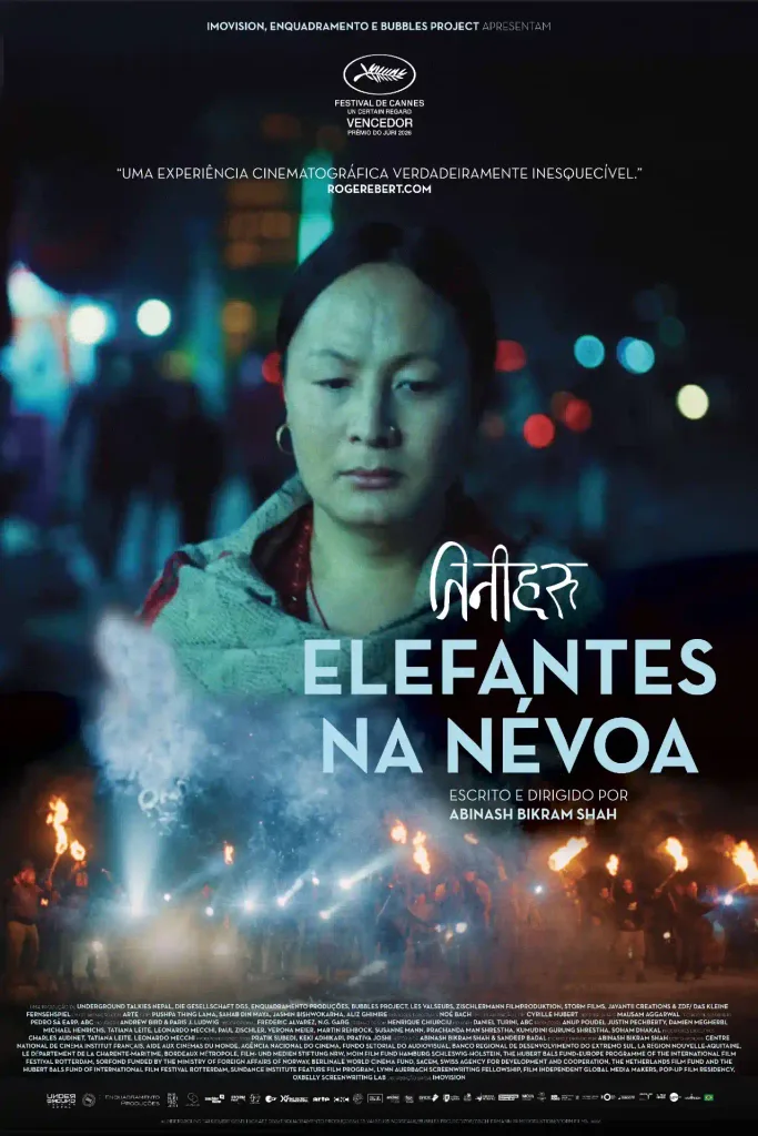 Elefantes na Nevoa 1